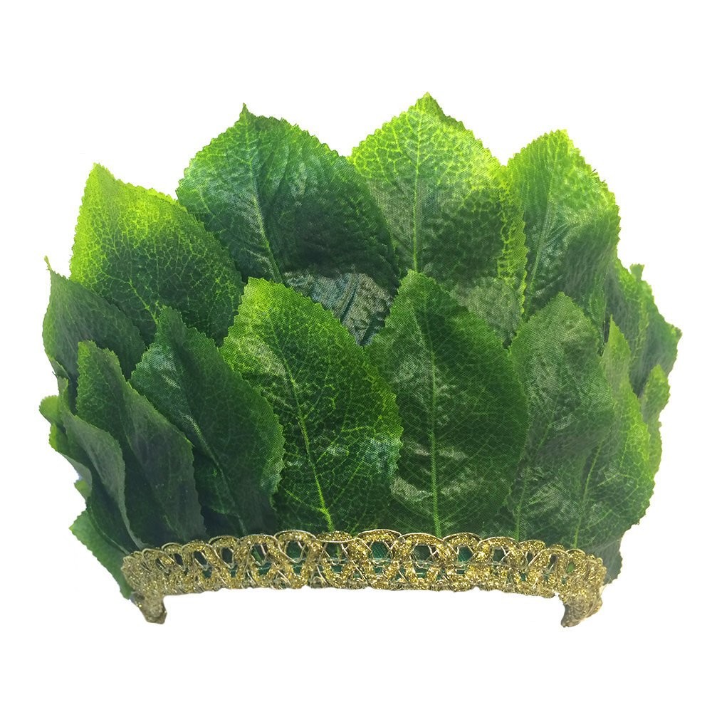 Шапка березка. Корона с листьями. Корона из растений. Корона из травы. Ободок Березка.