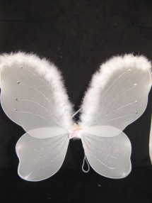 Крылья бабочки белые с верхней опушкой
