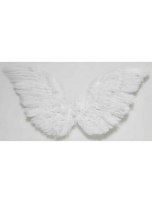 Небольшие перьевые крылья ангела