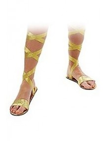 Золотые сандалии богини