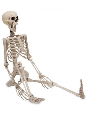 Человеческий скелет 90 см на Хэллоуин