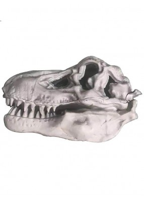 Череп динозавра 45 см бутафорский на Хэллоуин