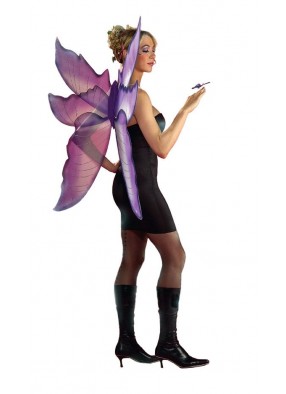 Фиолетовые крылья феи