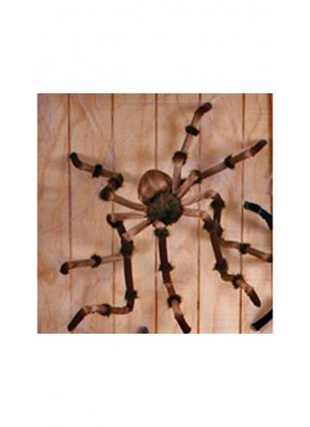 Коричневый гигантский паук 240 см