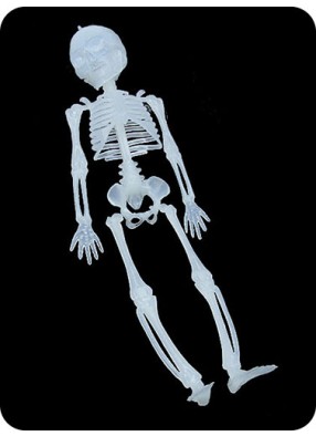 Подвесной скелет 30 см