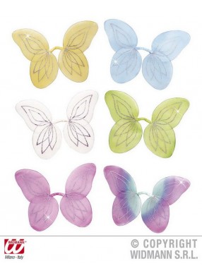 Разноцветные крылья бабочек