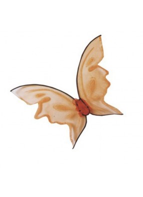 Яркие оранжевые крылья бабочки