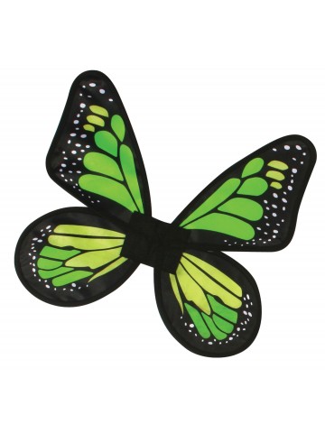 Атласные крылья Бабочка зеленые