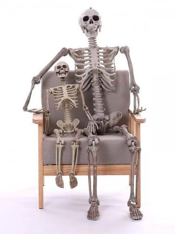 Большой человеческий скелет 170 см на Хэллоуин