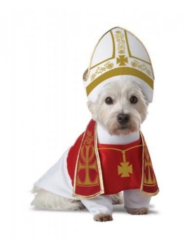 Костюм Папы Римского для собаки