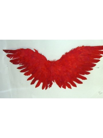 Крылышки Амура 60 см красные