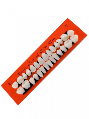 Набор человеческих зубов на Хэллоуин