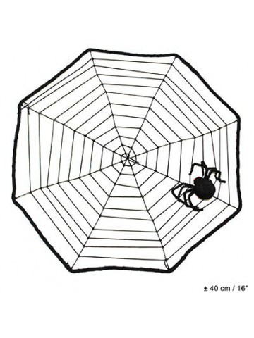 Натянутая паутина с пауком
