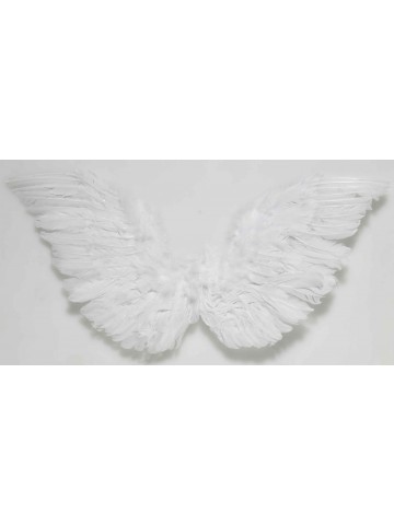 Небольшие перьевые крылья ангела фото