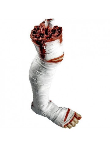 Оторванная нога мумии