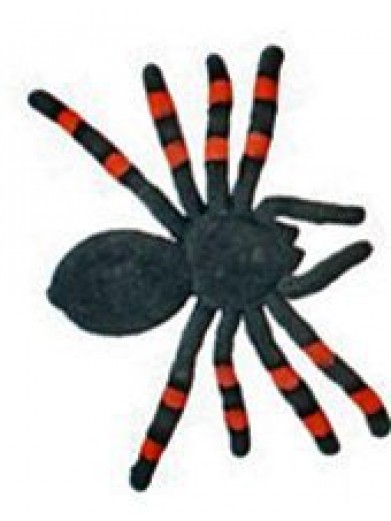 Бархатный тарантул черно-оранжевый