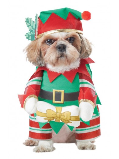 Костюм для собак Рождественский Эльф фото