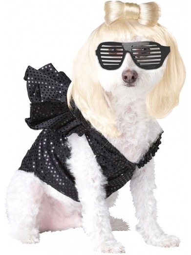 Костюм для собаки Леди Гага