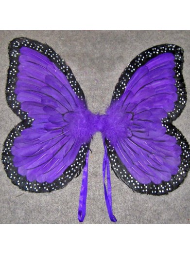 Крылья фиолетовые
