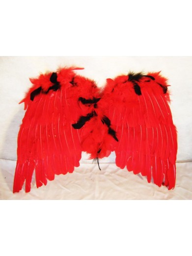 Крылья перьевые красно-черные