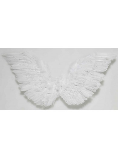 Небольшие перьевые крылья ангела фото