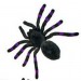 Бархатный тарантул черно-фиолетовый