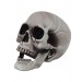 Человеческий череп на Хэллоуин