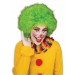 Зеленый парик забавного клоуна